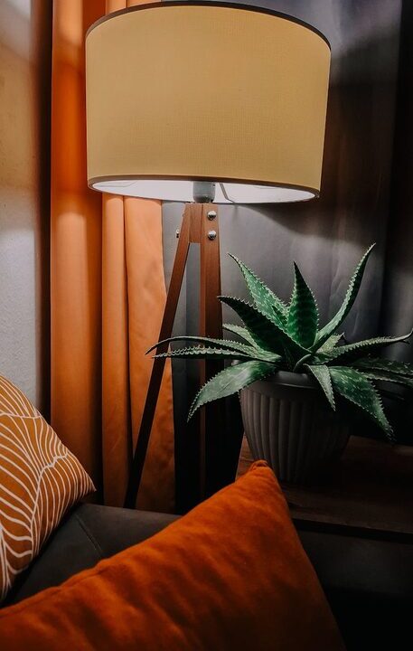 Tips for Creating a Cozy and Inviting Living Space on a Budget