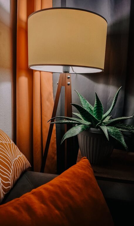 Tips for Creating a Cozy and Inviting Living Space on a Budget